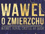                                                                                                                                                                             10. Letni Festiwal „Wawel o zmierzchu”
                                                                                                                                                                            