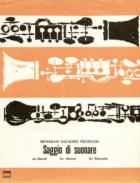                          Saggio di suonare
                         