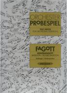                              Orchester Probespiel Fagot
                             
