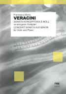                          Concert sonata in E minor
                         