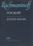                              Wokaliza
                             