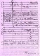                          Pink lavender Folder
                         