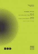 Gaja (wersja koncertowa)